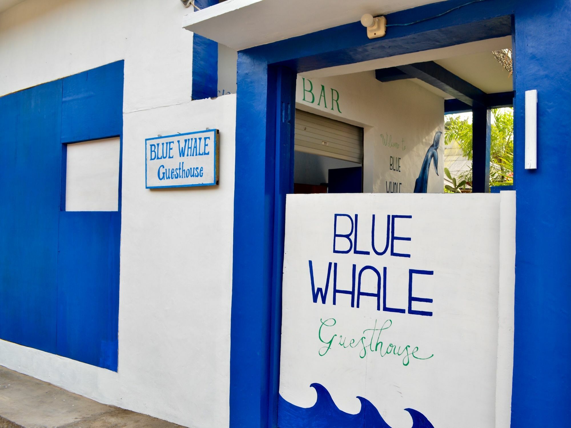 Blue Whale Guesthouse 길리트라왕안 외부 사진